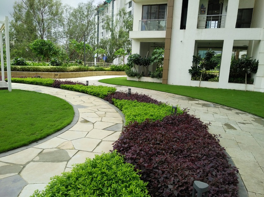 Greenscape Creation